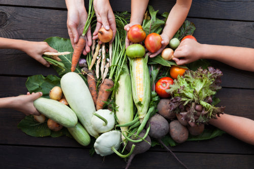 School Cookery Classes